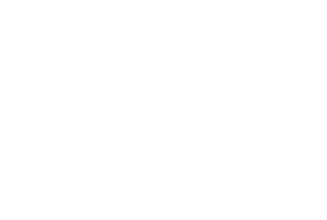 100 Black Men of North Metro Atlanta, Inc.